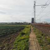 Dopo aver camminato per quasi 400 metri ecco che arrivati alla fine della strada notiamo come il terreno si interrompa bruscamente in corrispondenza dei binari della ferrovia: le foglie dei cavoli spuntano a pochi passi dal ferro delle rotaie senza che alcun muro separi le due zone